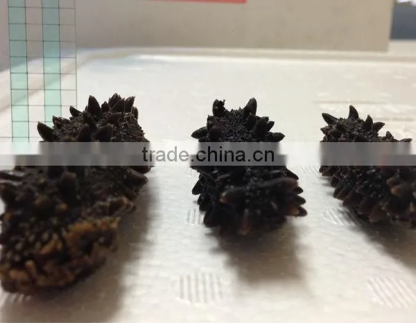 Dried Sea Cucumber/ Dried Salted Sea Cucumeber photo-3