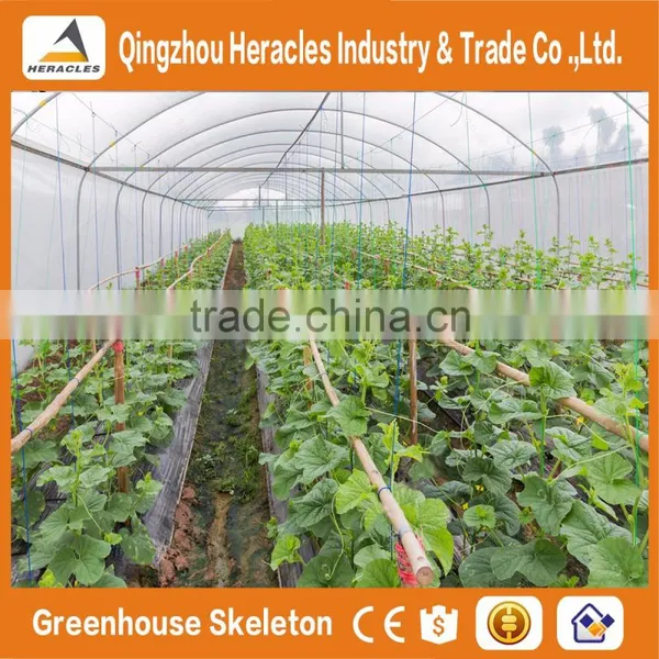 Heracles Trade Assurance Vegetable Seeds Greenhouse photo-3