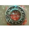 FAG Self-Aligning Ball Bearing (1313K)