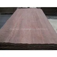 Sell Different Kinds of Veneers