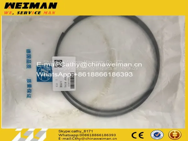 Hot Sale SEM Wheel Loader Spare Parts W030601820 SNAP RING