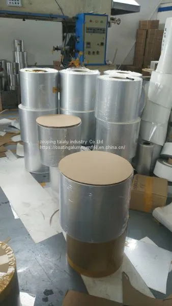 PE/PET Sealing Liner photo-5