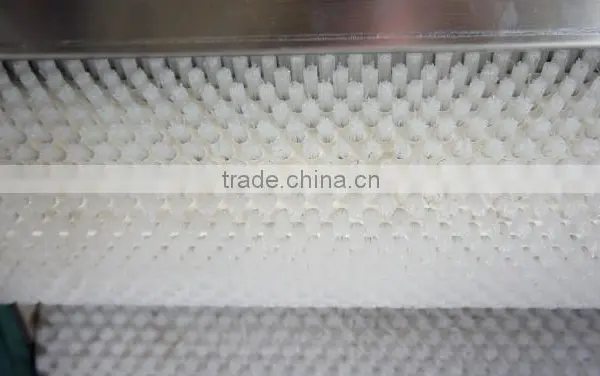 Potato Cleaning and Peeling Machine|Sweet Potato Washing Machine photo-3