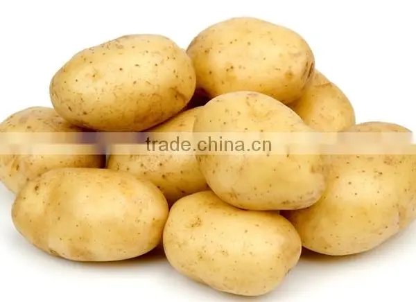 Potato Cleaning and Peeling Machine|Sweet Potato Washing Machine photo-4