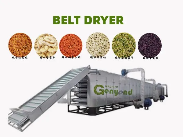 Fruit and Vegetable Dryer Machine for Promotion photo-6