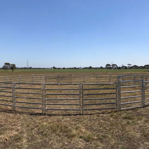 Hot Dipped Galvanized Cattle Panel Heavy Duty Livestock Corral Panel photo-3