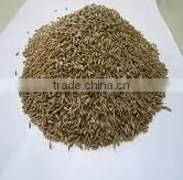 Cumin Seeds Broker