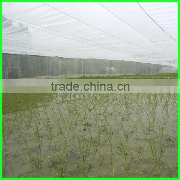 Suntex Virgin HDPE Anti-insect Nets/fruit Vegetable Netting photo-6