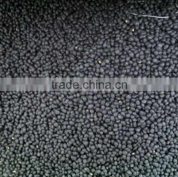 Black Bean photo-3