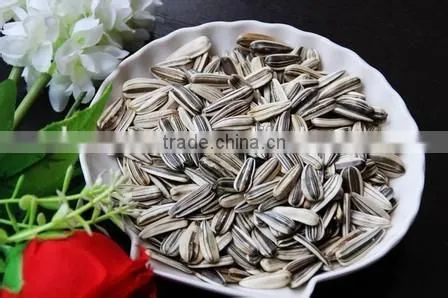 Melon Seeds Microwave Oven Sterilization Machine photo-4