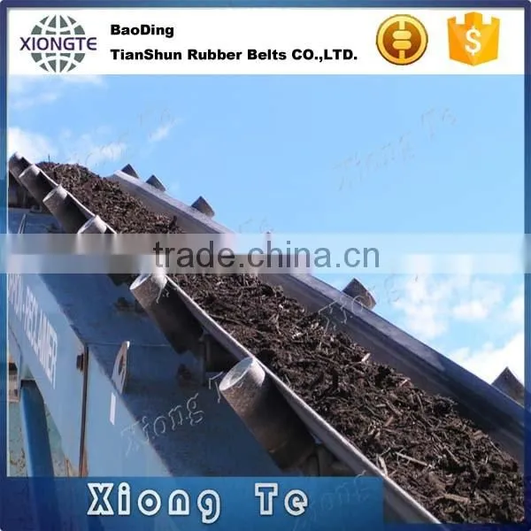 Polyester Conveyor Belt