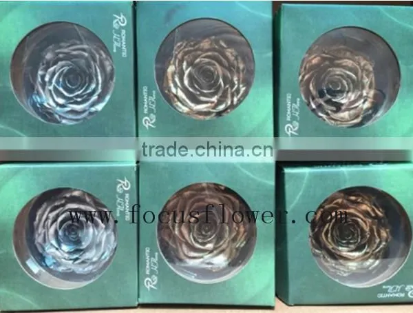 Real Touch Wholesale Preserved Flower Preserved Rose From China photo-6