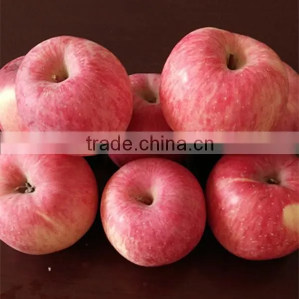 Red Fuji Apple Fresh Fuji Apple photo-5