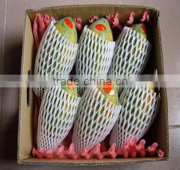 Machine Manufacture Epe Foam Fruit Net Machine Foam Net Machine photo-6