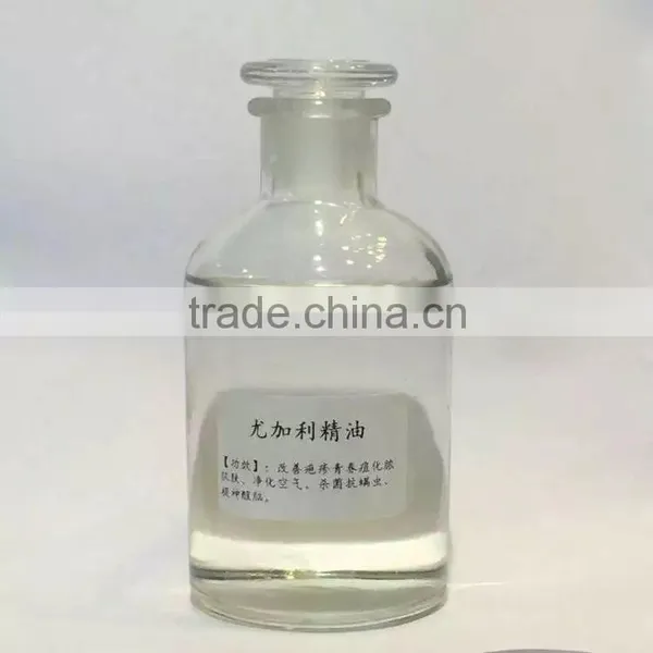 Eucalyptus Globulus Oil Eucalyptus Leaf Oil Organic Eucalyptus Oil (CAS 8000-48-4)