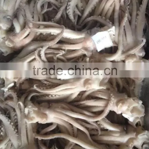 2016 Newly Arrived Frozen Eye Off, Beak off Squid Tentacle From China photo-2