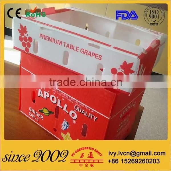 Factory Price Durable Foldable Corrugated Plastic Boxes For Fruits photo-4