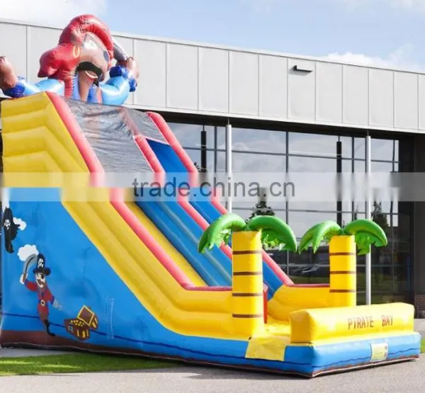 Good Price Inflatable Slide on Selling, Professional Inflatables Factory in China photo-3