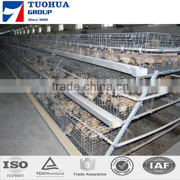 Chicken Poultry Layer Cage for Sale,layer Poultry Cages photo-5