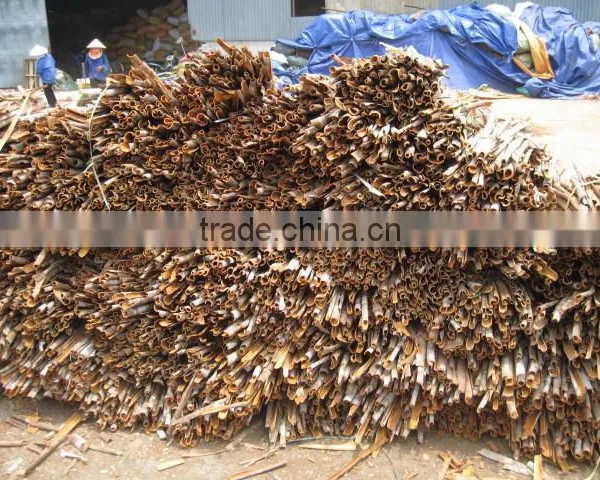Vietnam Cassia , Vietnam Cinnamon New Crop 2015