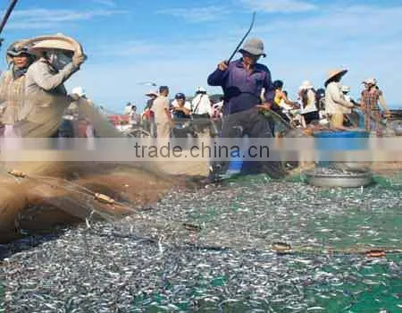 Dried Anchovy Fish photo-3