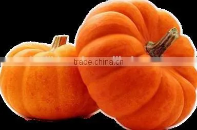 Manufacture High Quality Pumpkin Seed Oil Lower Blood Lipid photo-3