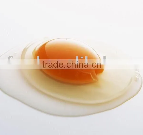 egg yolk powder