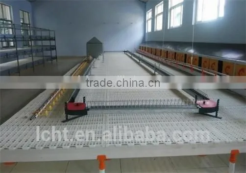 Most Popular Chicken Plastic Slat Floor photo-4