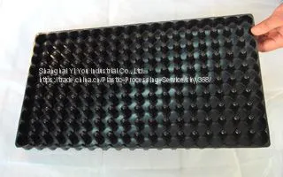 Plastic Tray Manufacturer Shanghai Yi You From China photo-4