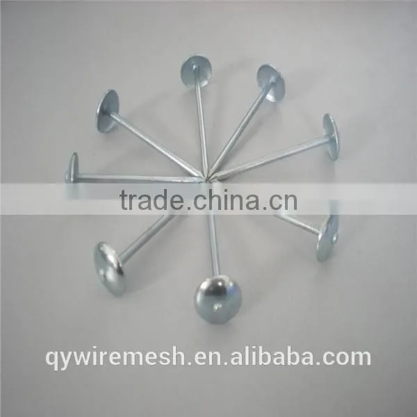 Galvanized Roofing Nail/Roofing Nails With Washer /Umbrella Roofing Nails