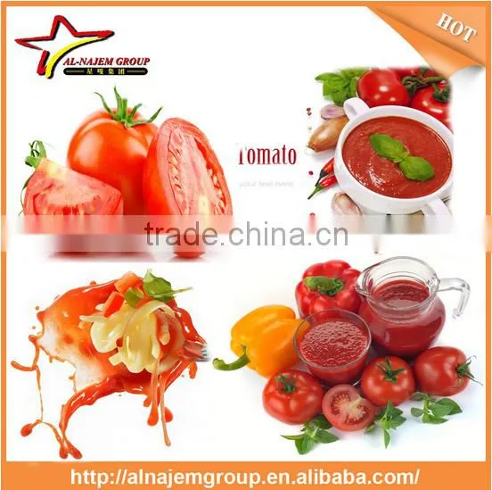 High Quality Tomato Paste Making Machine Tomato Canning Machine Tomato Ketchup Making Machine photo-6