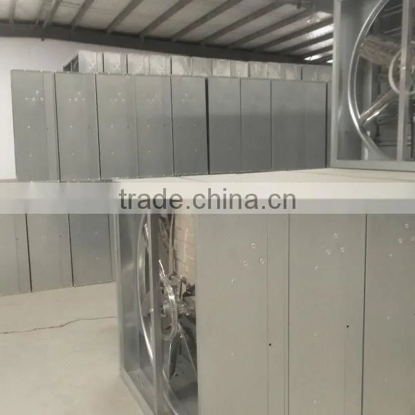 Roof Ventilator for Poultry Greenhouse photo-4