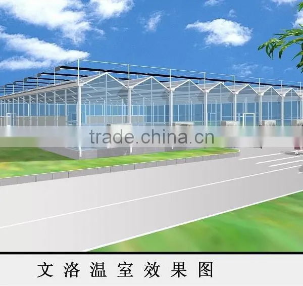 Different Models of Venlo Glass Multi-tunnel Green House With Good After-sale Service photo-3