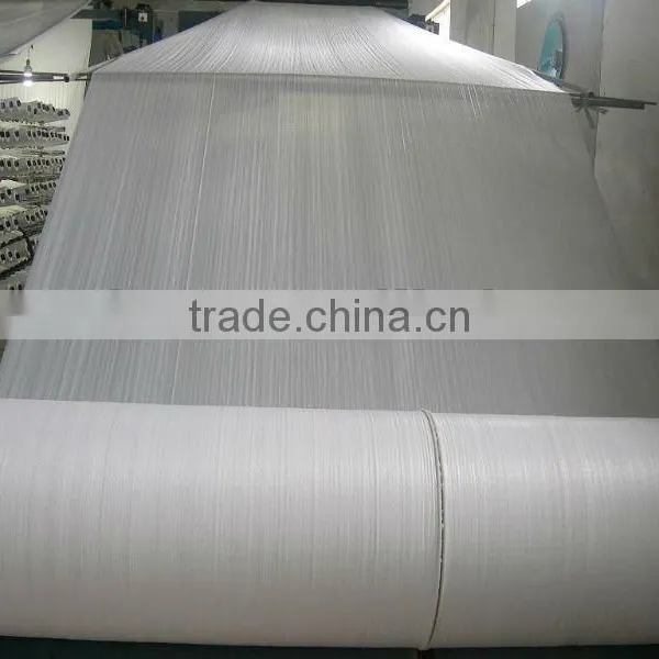 PP Woven Fabric, PP Woven Fabric Roll,PP Woven Fabric in Roll photo-3
