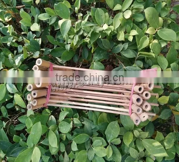 Factory Direct Sale Bamboo Cane Trellis /holding Bamboo Trellis/make Bamboo Garden Trellis photo-5