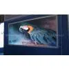 Supply High Quality P10indoor Full Color LEDmodule