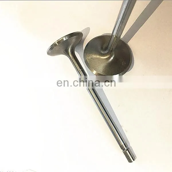 City Motorcycle Parts Popular Engine Valves for Honda C70 Gbo j Cdi in Malaysia photo-6