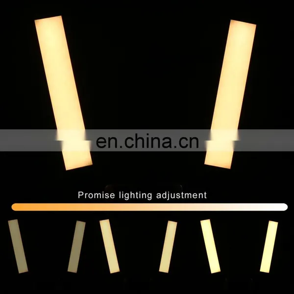 Anchor Selfie Jewelry Photography Fill Light Live Beauty Double Arm Light Multipurpose LED Photography Light photo-4