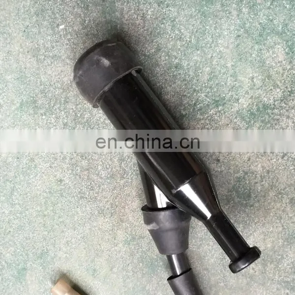 BISON(CHINA) 168F Engine Spare Parts Ignition Coil BS160 Ignitor Price photo-4
