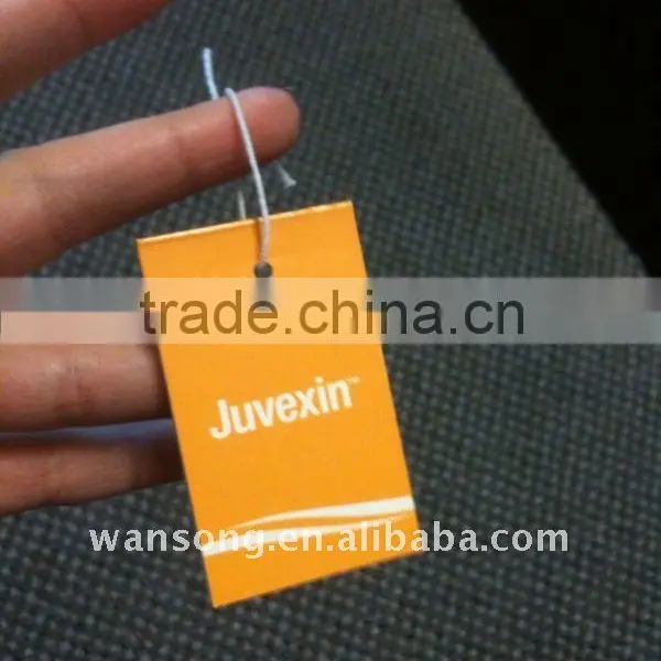 Embossed Logo Plastic Seal Tag, Brand Logo Hang Tag for Garment photo-2