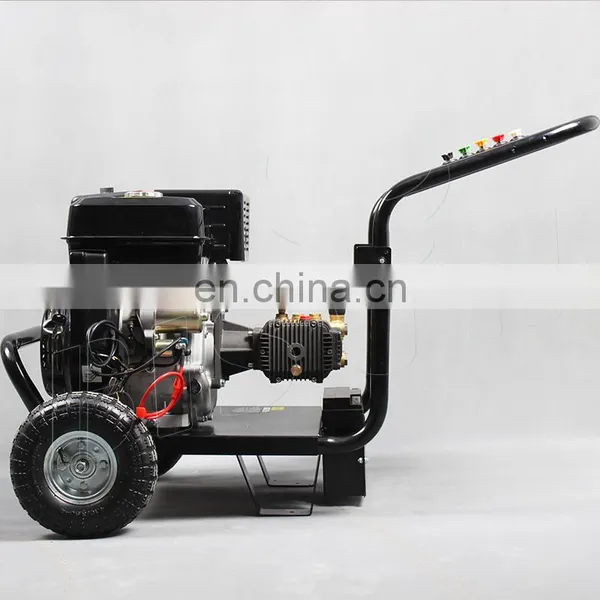 BISON China 3600psi 250 Bar Gas Powered Pressure Washing Machine photo-2