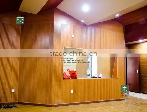 Auditorium Sound Proof Door photo-4