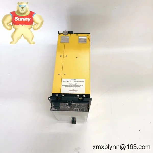 ALSTOM MCHN02D1AB0005A – Control/Communication Module for Industrial Rack Systems photo-2