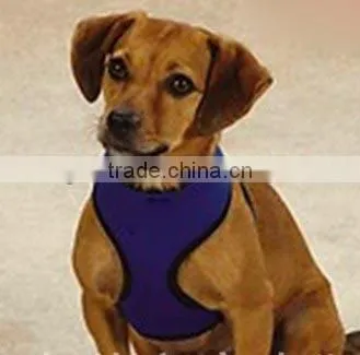Sandwich Mash Fabric Pet Collar