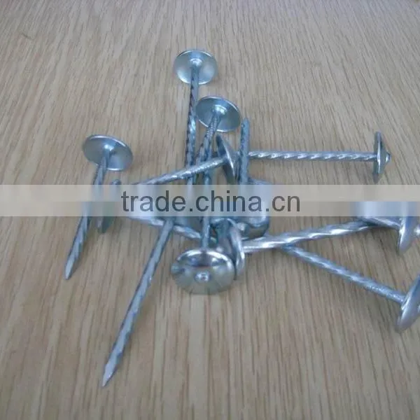 Galvanized Roofing Nails With Umbrella Head/umbrella Head Nails /galvanzied Roofing Nail photo-5