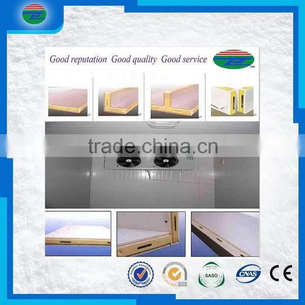 Most Popular Creative Super Quality Fish Cold Freezer/fish Blast Freezer/cold Storage/cold Room photo-3