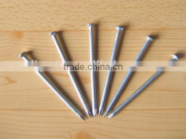 Common Nail photo-6