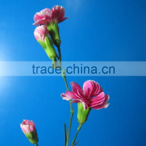 Good Smell Hot Sale Fresh Cut Carnations and Roses photo-2