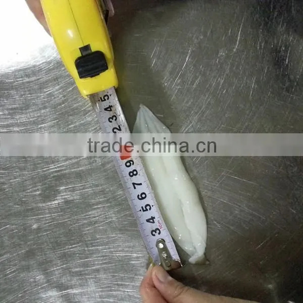 Frozen Illex Roe Squid Argentina Raw Material photo-5