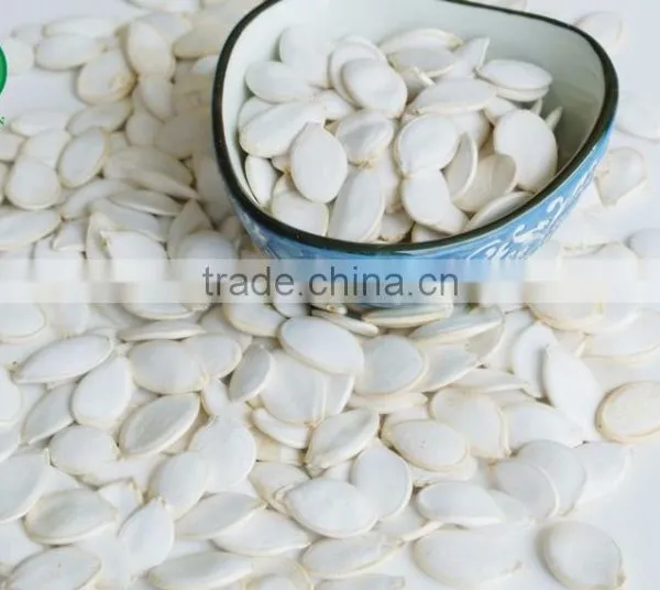 China,InnerMogolia,2015,high Quality,Green Snow White Pumpkin Seeds for Human Consumption photo-4